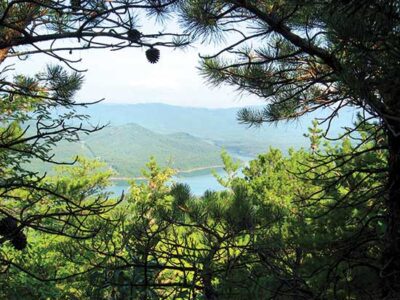 In the Pipeline’s Path